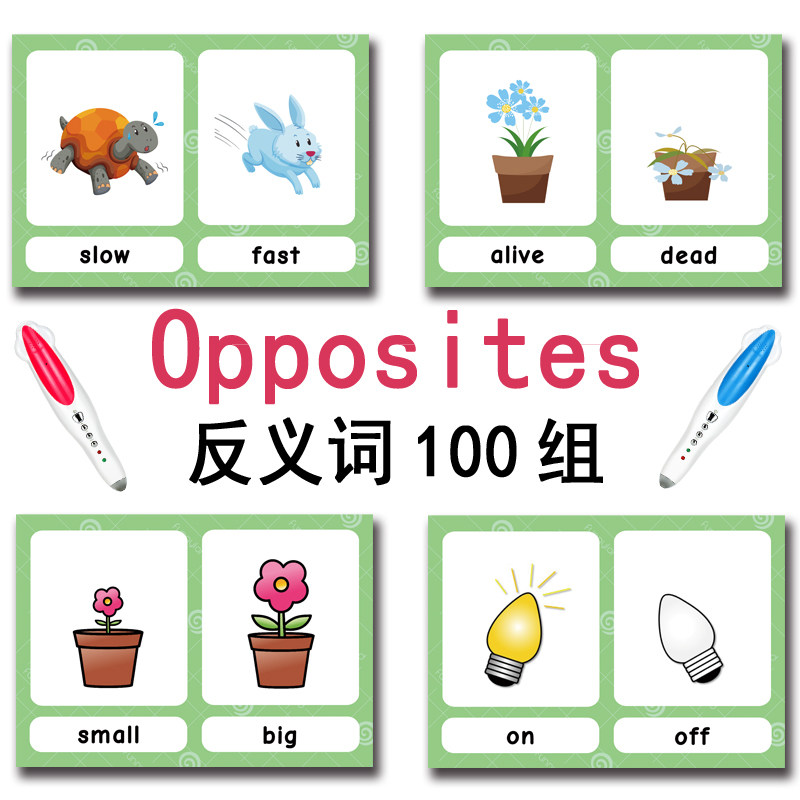 Tarjetas de memoria con 100 gr - English Kids Education reseña y precio