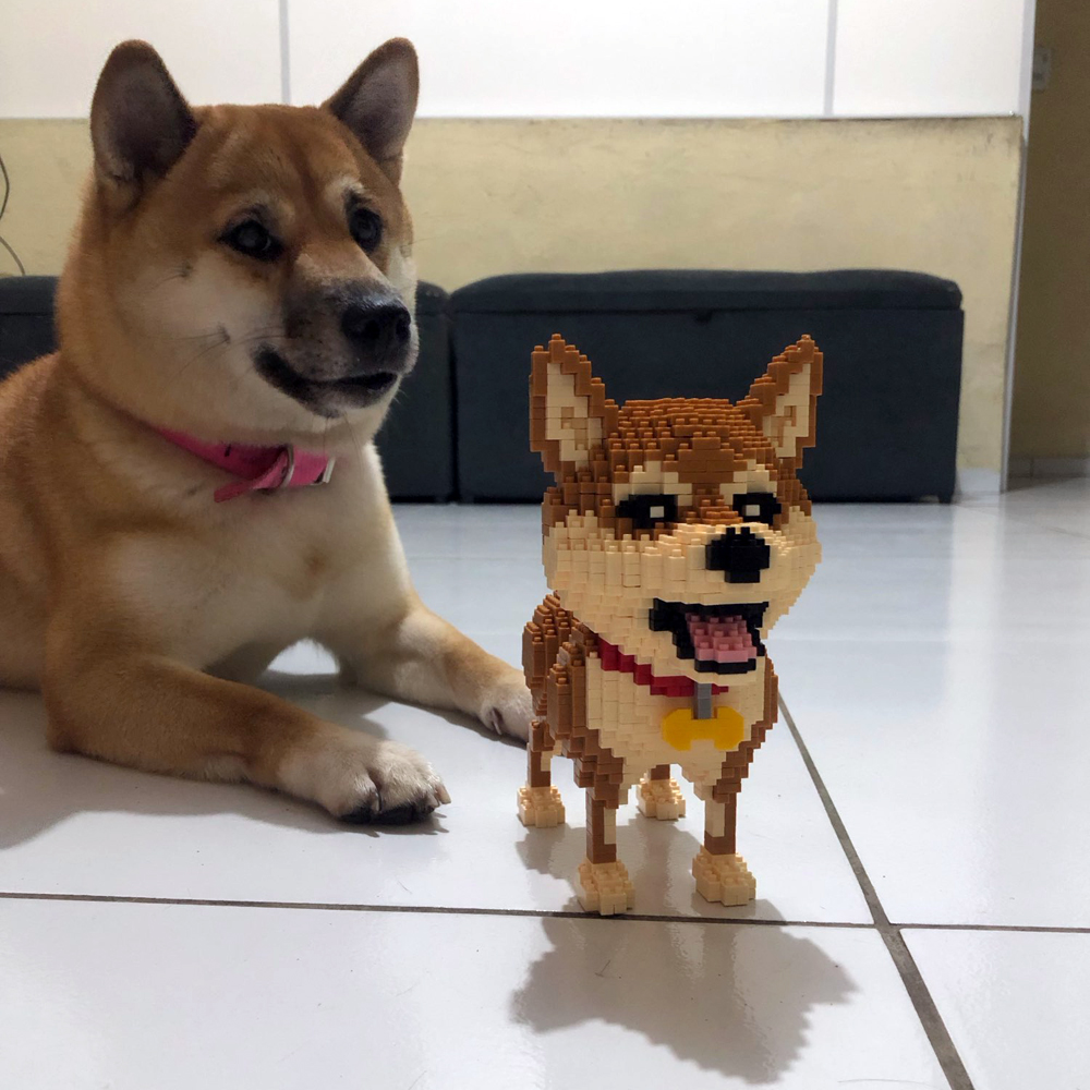 KNEW BUILT Modelo de perros Sh - Kids Education And Recreation reseña y precio