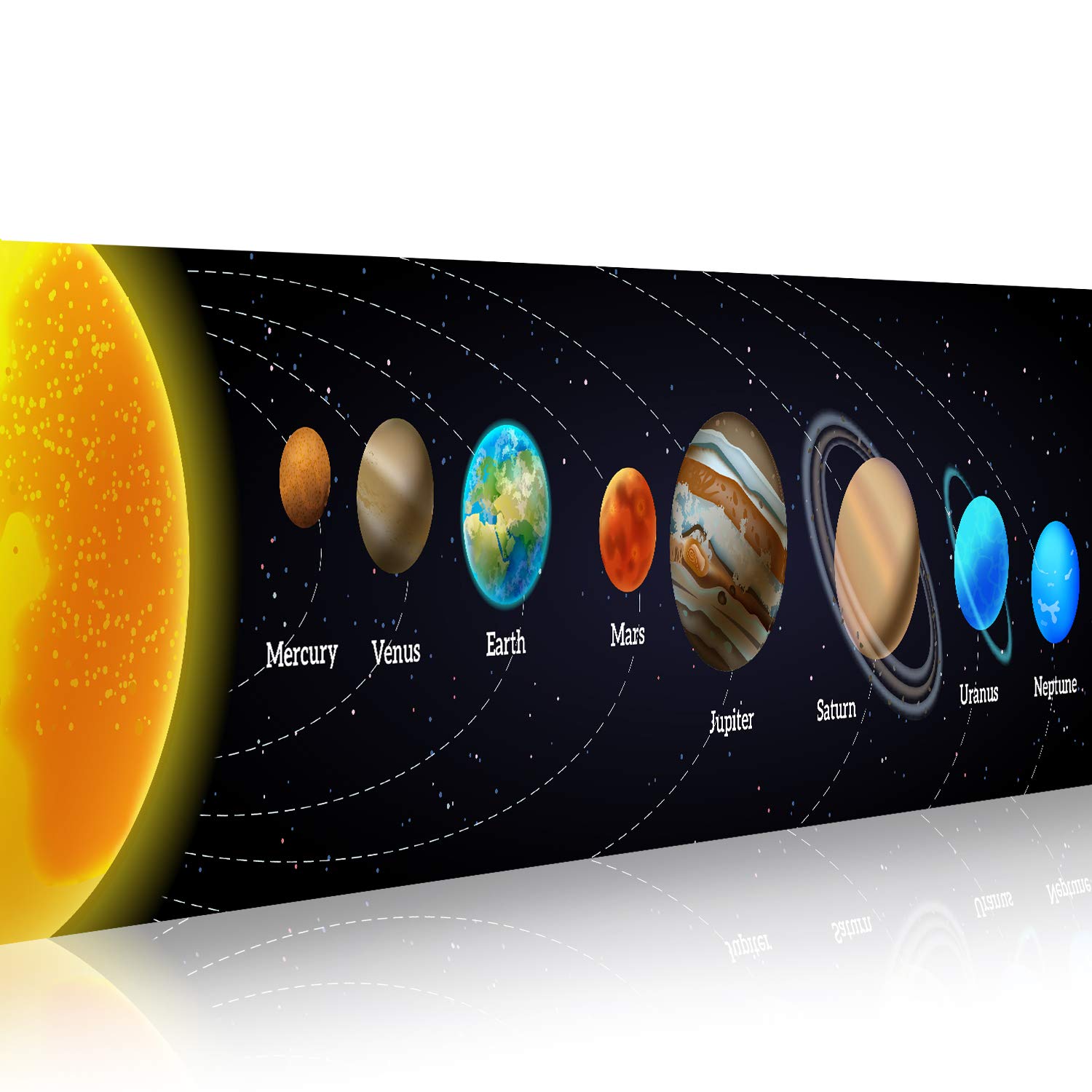 Pancarta de ciencia educativa  - Kids Education Background reseña y precio